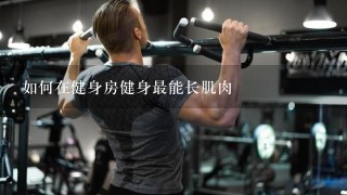 如何在健身房健身最能长肌肉